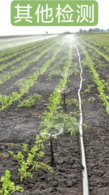 1-25120Q51119C1.jpg 1-25120Q51119C1.jpg