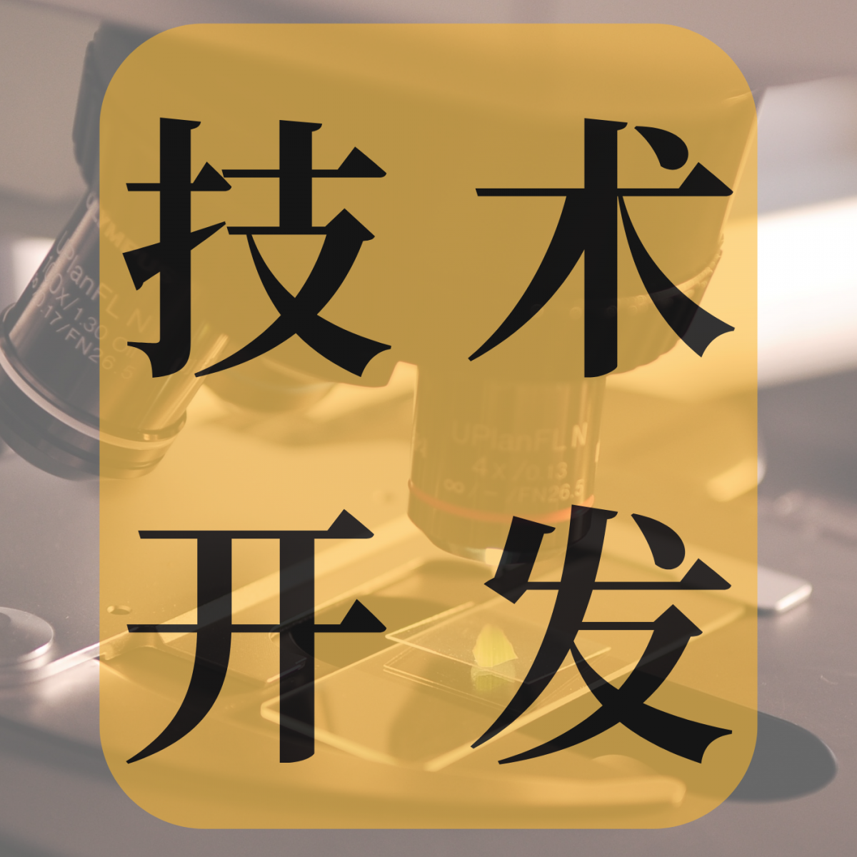 江苏安舜成功实现抹茶风味物质“二甲硫醚”定量检测技术开发